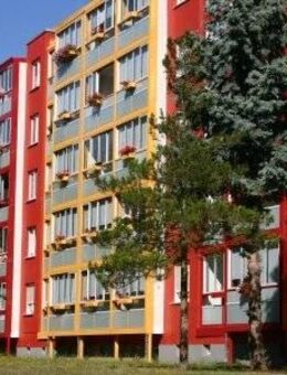 Tolle 2-Raum-Wohnung mit 2 verglasten XXL-Balkonen - Zeitz