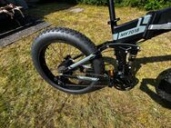 E-bike fatbike - Kaltenkirchen