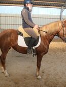 Warmblutstute Liesa in 99628