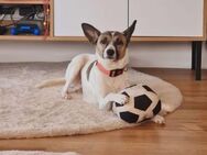 BORI ❤️ - Langenhagen