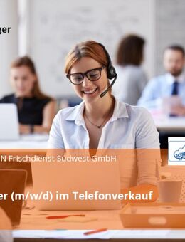 Mitarbeiter (m/w/d) im Telefonverkauf - Ilsfeld