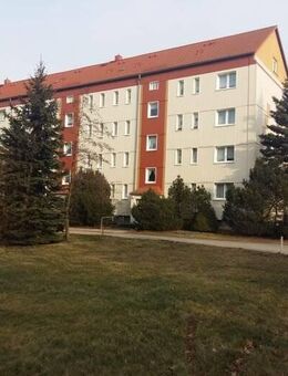 Sanierte 2 Raumwohnung in Großschirma - Großschirma