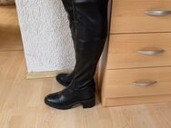 Zara Overknee Stiefel Gr 40 - Herrnhut Rennersdorf