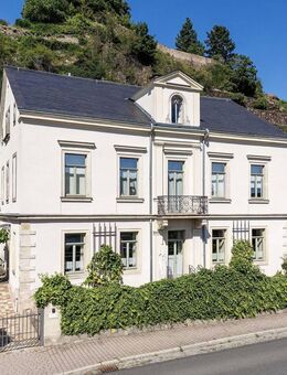 Historisches Juwel mit eigenem Weinberg und Blick auf die Elbe - Meißen