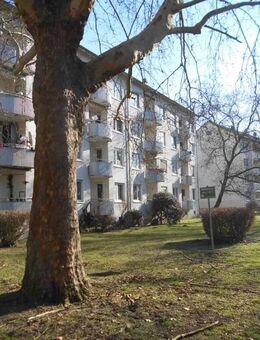 Provisionsfreie Kapitalanlage!!. Vermietete 3 Zimmer Wohnung in Frankfurt-Niederrad! - Frankfurt (Main)