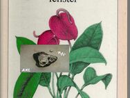 Blumen und Pflanzenfenster, Siefried Sommer, VEB Verlag, Cover weiß - Sebnitz