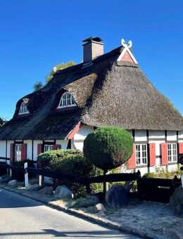 Rondeshagen - charmantes, reetgedecktes Fachwerkhaus mit Nebengebäude und Doppelcarport - Berkenthin