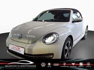 VW Beetle, 1.4 TSI Cabriolet Cup, Jahr 2014 - Sigmaringen