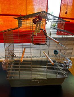 Vogelkäfig - Mülheim-Kärlich