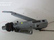 Auflaufeinrichtung bis 1600 kg AL-KO 161S Ausf. A gebraucht Sonderpreis - Schotten Zentrum