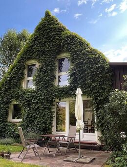 Ein Garten wie ein kleiner Park, mit charmantem Wohnhaus nur 2 km zur Innenstadt Syke! - Syke