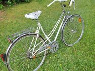 Citirad,damenrad ,fahrrad - Gräfelfing