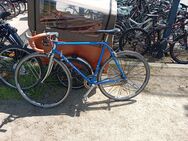 Rennrad - Frankfurt (Main)