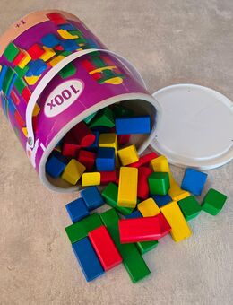 Eichhorn bunte Holzbausteine Bausteine Kinder Baby +1 - Schwelm