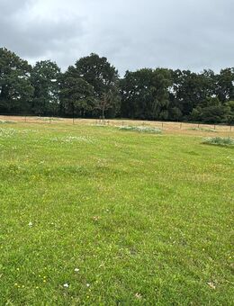 Alt werden in Oldenburg – zwei Wohnungen mit Zukunft - Oldenburg