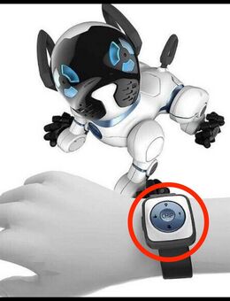 Chip WowWee | Roboterhund |Reparatur| Akku Reparatur & Tausch - Dresden