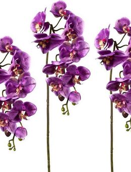 Kunstpflanze Orchidee, Creativ green, Höhe 98 cm, 3er Set