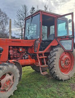 Hobbyauflösung Belarus MTS 82 Preis VB - Utzedel