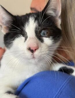 Ella neugierig trotz Handicap - München