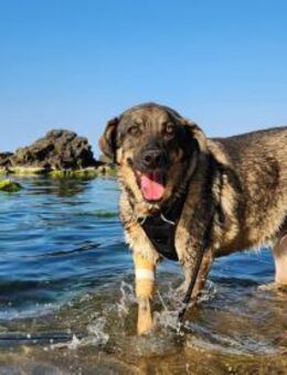 Birte - einfach nur Genügsam - Berlin
