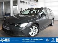 VW Golf Variant, 1.5 TSI Golf 8 Life, Jahr 2022 - Blomberg (Nordrhein-Westfalen)