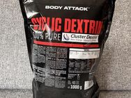 Body Attack - Cyclic Dextrin 1000g - Bad Brückenau