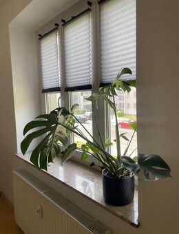 Lutherstr./ 3-Raum Wohnung mit EBK und Balkon in Zentrumsnähe - Chemnitz