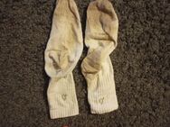 Tennissocken lang gerne getragen Liebhaber - Erfurt