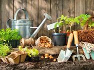 22 Jähriger Sucht Gartenarbeit Für Taschengeld Zwischen (15-25 Euro) In Gommern - Gommern