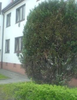 2- Zimmer-Wohnung in HH-Stellingen in Stellinger Steindamm! Offene Besichtigung ist am 17.11.2025 um 16.30 Uhr! - Hamburg