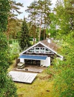 Ein- oder Zweifamilienhaus mit weitläufigem Waldgrundstück in Brietlingen-Moorburg. - Brietlingen