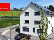 *Ideales Gesamtpaket* Modernes Einfamilienhaus mit Einliegerwohnung - Lautertal (Odenwald)
