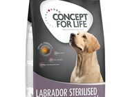 Concept for Life Hundefutter Probierbeutel – jetzt testen! - Labrador Sterilised (1 kg)