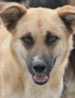 Hübsche, schüchterne Najma - Kallmünz