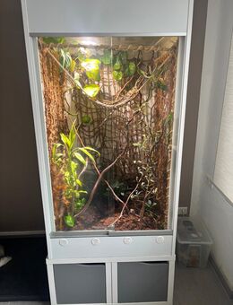 Terrarium - Emsdetten Zentrum