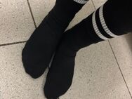 Sexy Kleidung zu verkaufen auch gut riechende Socken - Lippstadt