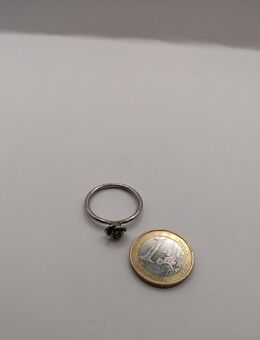 kleiner Ring Damen Modeschmuck Farbe Silber - Essen
