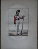 Lithografie von Delpech - koloriert : Garde Royale , Grenadier Suisse. , Nummer 376 , Schweiz , Militär - Uniform , Blatt 35cm x 25cm , M33 in 02828