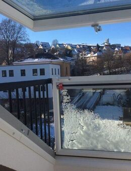 Gemütliche 2-Zimmer-Wohnung im Dachgeschoss nahe Prinzengarten - Sigmaringen