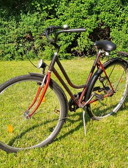 Rad,fahrrad 28 er damenrad - Gräfelfing