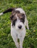 FINJA - Vorfreude auf Familienglück in 51491