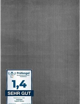 Andiamo Teppich Arezzo, rechteckig, Höhe: 16 mm, Uni Farben, weicher Flor, waschbar, ideal im Wohnzimmer & Schlafzimmer