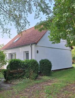 Absolute Alleinlage und Scheune - Einfamilienhaus zwischen Greifswald und Grimmen - Süderholz