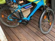 E Bike Kalkhoff Entice 3B Advance - Köln