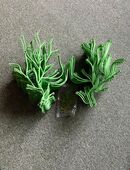 Original Vitra ALGUE - Raumteiler, grün, Design by R+E Bouroullec in 93164