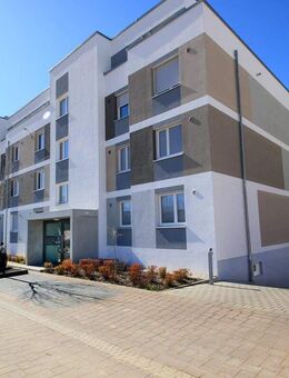 Investieren & Genießen - Gartenwohnung mit 47 m² Wohnfläche und 59 m² Privatgarten - Ladenburg