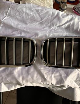 BMW X Chrome Nieren Kühlergrillgitter (7 Stäbe - silber) - Sinzheim