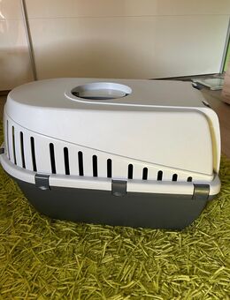 Hundebox - Magstadt