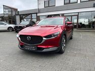 Mazda CX-30 SKYACTIV-X Selection,Design-/Activesense-Paket,AHK - Münzenberg