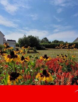 Hier beginnt Ihre Geschichte! - Frohburg